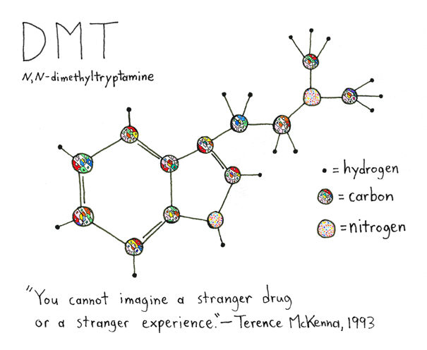 how to make dmt drug